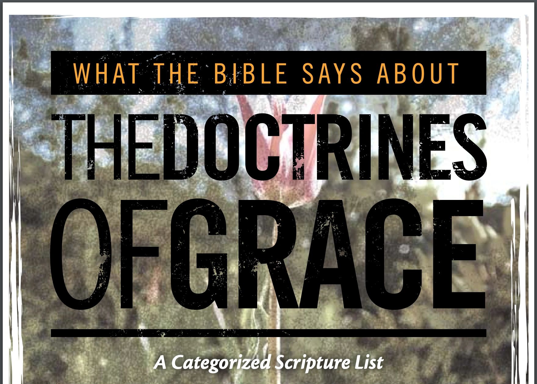 the-doctrines-of-grace